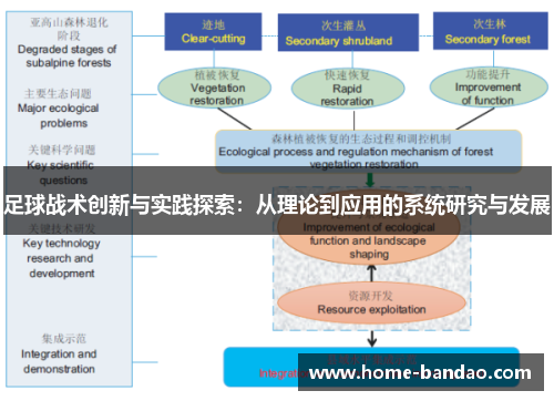 足球战术创新与实践探索：从理论到应用的系统研究与发展
