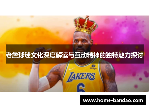 老詹球迷文化深度解读与互动精神的独特魅力探讨