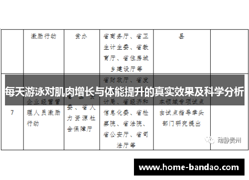每天游泳对肌肉增长与体能提升的真实效果及科学分析