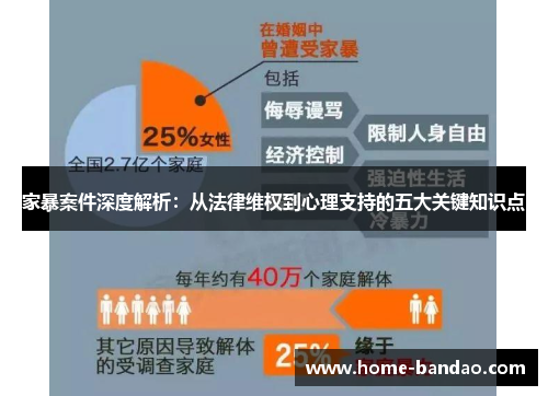家暴案件深度解析：从法律维权到心理支持的五大关键知识点