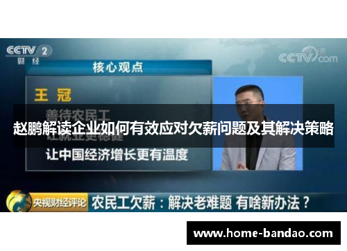 赵鹏解读企业如何有效应对欠薪问题及其解决策略